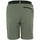 Textil Mulher Shorts / Bermudas Peak Mountain Short de randonnée femme AJASI Verde