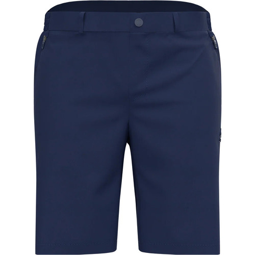 Textil Homem Calças de treino Odlo ASCENT LIGHT Azul