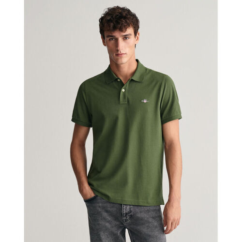 Textil Homem T-shirts pattern e Pólos Gant Polo em algodão piqué Shield regular fit Verde