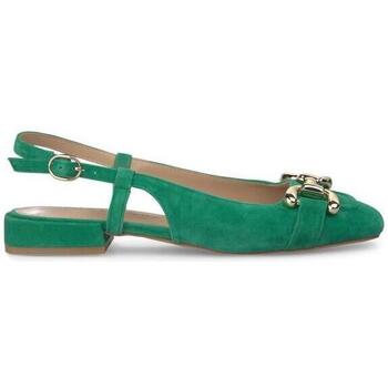 Sapatos Mulher Sapatos & Richelieu Artigos De Decoração V240342 Verde