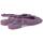 Sapatos Mulher Sapatos & Richelieu ALMA EN PENA V240342 Violeta