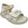Sapatos Criança Sandálias Cesare Paciotti 42911 Multicolor