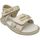 Sapatos Criança Sandálias Cesare Paciotti 42911 Multicolor