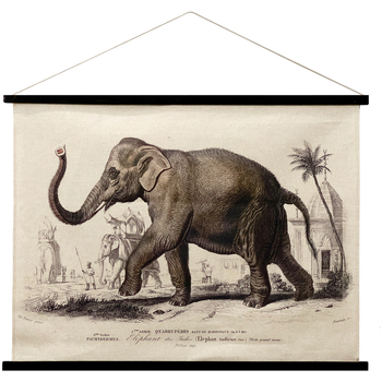 Casa Quadros / telas Signes Grimalt Tela Rolável De Elefante Cáqui