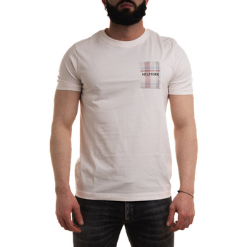 Textil Homem T-shirts e Pólos Tommy Hilfiger MW0MW35459 Branco
