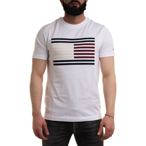 Textil Homem T-shirts e Pólos Tommy Hilfiger MW0MW35460 Branco