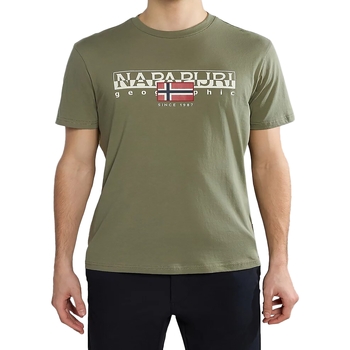 Textil Homem T-Shirt mangas curtas Napapijri 234926 Verde
