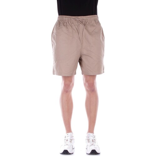 Textil Homem Shorts / Bermudas Dickies DK0A4XB2 Bege