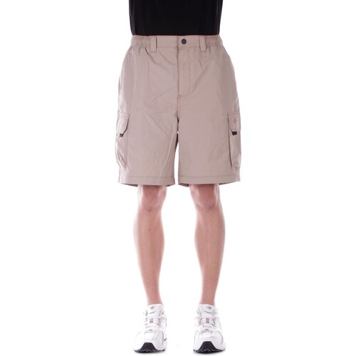 Textil Homem Shorts / Bermudas Dickies DK0A4YAC Bege
