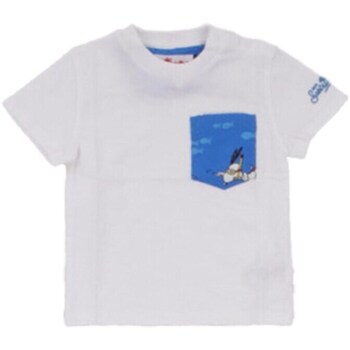 Textil Rapaz T-Shirt mangas curtas Sempre aos quadrados KEA0001 02987F Branco