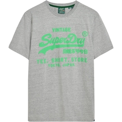 Textil Homem T-Shirt mangas curtas Superdry 235563 Cinza