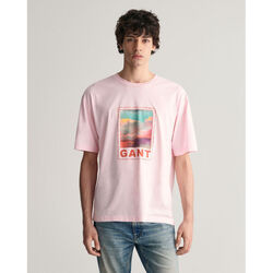Textil Homem T-shirts e Pólos Gant T-shirt Washed Graphic Rosa