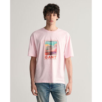 Textil Homem T-shirts pattern e Pólos Gant T-shirt Washed Graphic Rosa