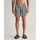 Textil Homem Shorts / Bermudas Gant Calções de Banho Às Riscas Multicolor