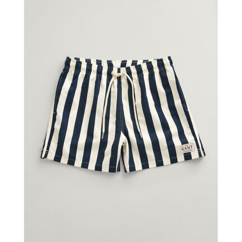 Textil Homem Shorts / Bermudas Gant Calções de Banho Às Riscas Marinho
