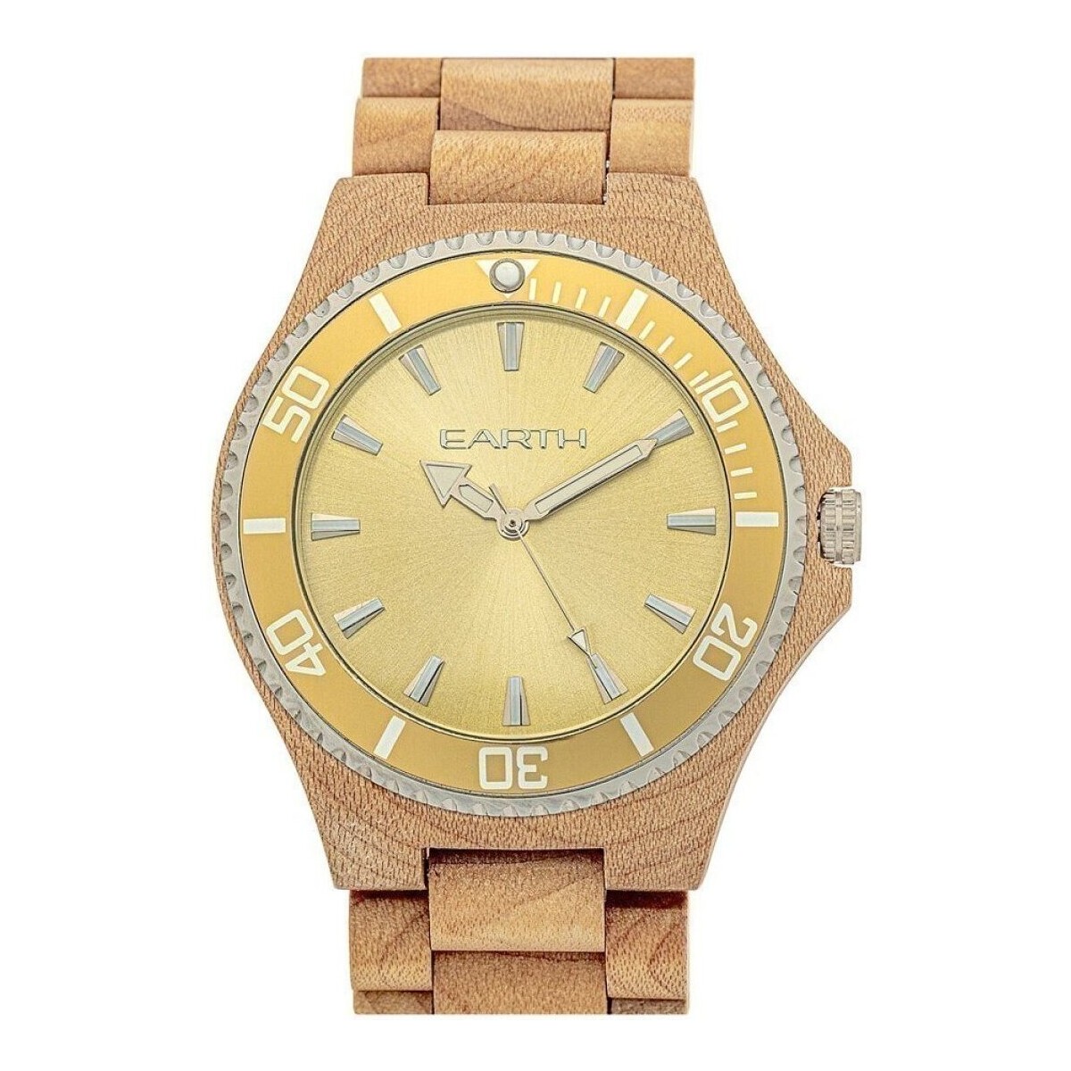 Relógios & jóias Homem Relógio Earthwood ETHEW6001 Bege