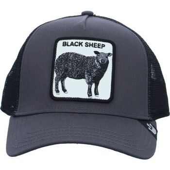 Acessórios Chapéu Goorin Bros 101-0380 BLACK SHEEP-GREY Cinza