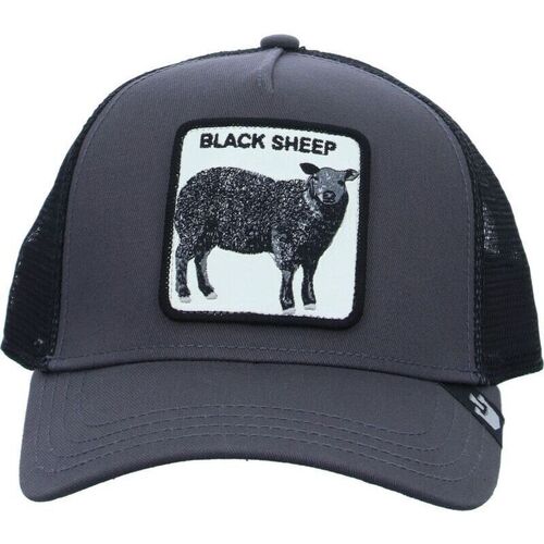 Acessórios Chapéu Goorin Bros 101-0380 BLACK SHEEP-GREY Cinza