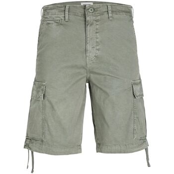 Textil Homem Shorts / Bermudas Jack & Jones 12253122 COLE-AGAVE GREEN Verde