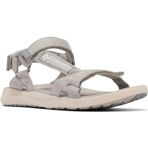 Sapatos Mulher Sandálias Columbia Globetrot Cinza
