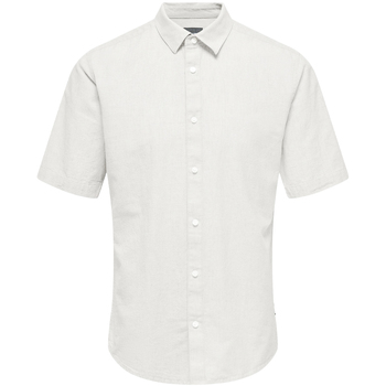 Textil Homem Camisas mangas curtas Primavera / Verão   Cinza