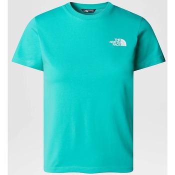 The North Face NF0A87T4PIN1 Verde