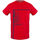 Textil Homem T-Shirt mangas curtas Aquascutum - tsia127 Vermelho