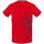 Textil Homem T-Shirt mangas curtas Aquascutum - tsia115 Vermelho