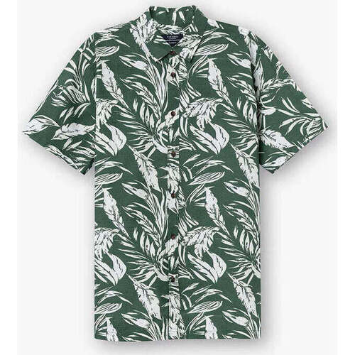 TeLow Homem Camisas mangas comprida Tiffosi 10054176-824-4-1 Verde
