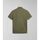 Textil Homem T-shirts e Pólos Napapijri EBEA 2 NP0A4HPY-GAE GREEN LICHEN Verde
