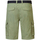 Textil Homem Shorts / Bermudas Petrol Industries  Verde