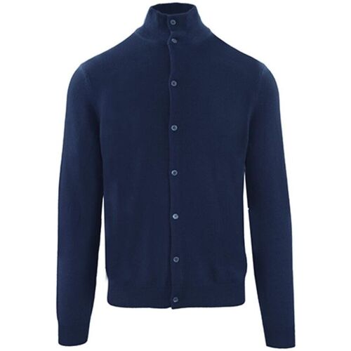 Textil Homem camisolas Ferrari & Zenobi - crmc51 Azul