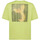 Textil Homem T-Shirt mangas curtas Brvn Phoenix Verde