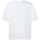 Textil Homem T-Shirt mangas curtas Brvn Dashing Branco