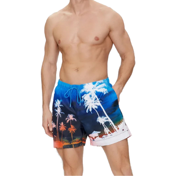 Textil Homem Fatos e shorts de banho Tommy Hilfiger UM0UM03295 Azul