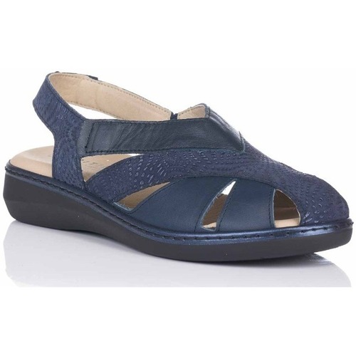 Sapatos Mulher Escarpim Pitillos 5583 Azul
