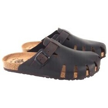 Interbios INTER BIOS 9570 sapato masculino marrom Castanho