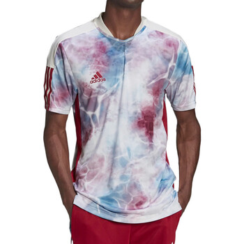Textil Homem T-Shirt mangas curtas adidas Originals  Multicolor