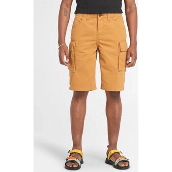 Textil Homem Shorts / Bermudas bianco Timberland TB0A5U1B - BROOKLINE TWILL CARGO SHORT-P471 WHEAT BOOT Branco