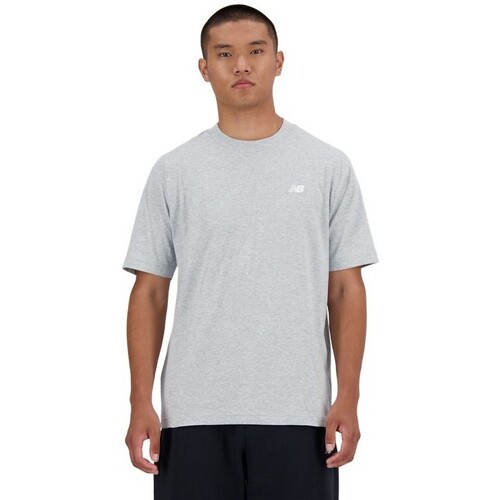 Textil Homem T-shirts e Pólos New Balance 34266 GRIS