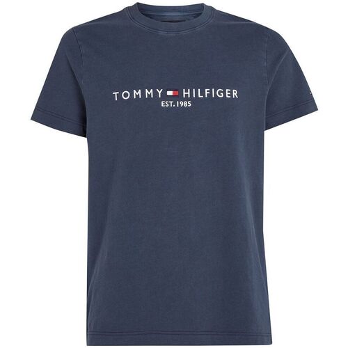 Textil Homem T-shirts e Pólos Tommy Hilfiger MW0MW35186-DW5 DESERT SKY Azul