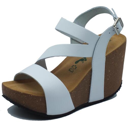 Sapatos Mulher Sandálias Bionatura 29A2008 Imb Bycast Branco