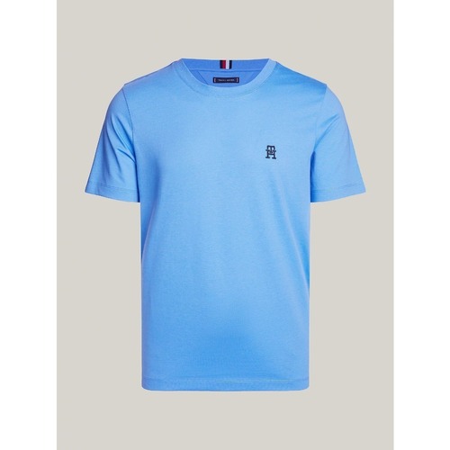 Textil Homem T-shirts e Pólos Tommy Hilfiger MW0MW33987 Azul