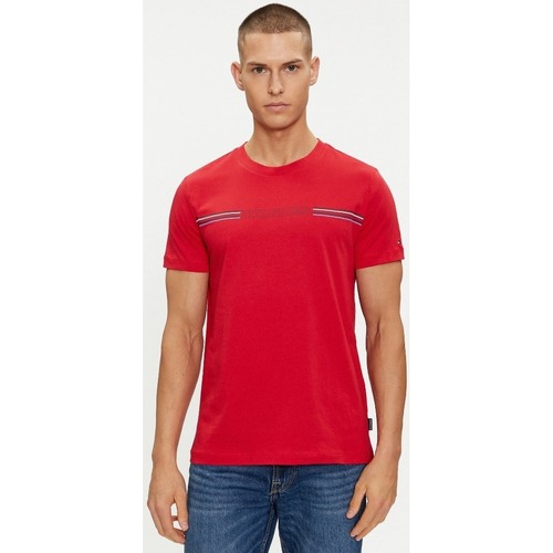 Textil Homem T-shirts e Pólos Tommy Hilfiger MW0MW34428 Vermelho