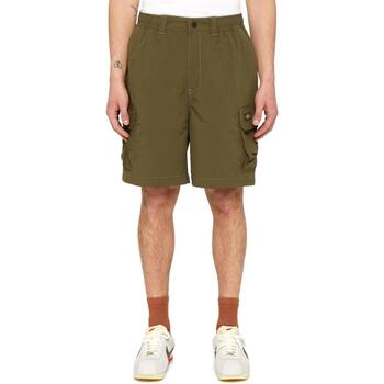 Textil Homem Shorts / Bermudas Dickies  Verde