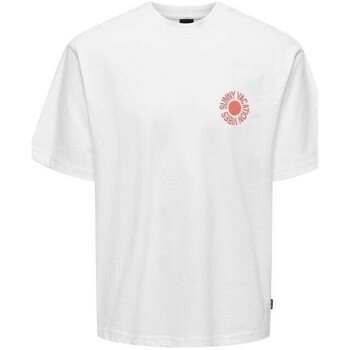 Textil Homem T-Shirt mangas curtas Apliques de parede  22028751 KASEN Branco