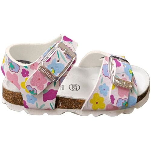 Sapatos Criança Sandálias Grunland  Multicolor