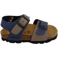 Sapatos Criança Sandálias Grunland  Azul