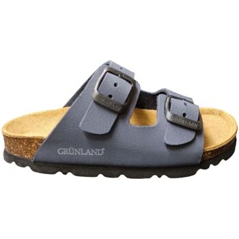 Sapatos Criança Chinelos Grunland  Azul