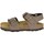 Sapatos Rapaz Sandálias Grunland SB0901-40 Castanho